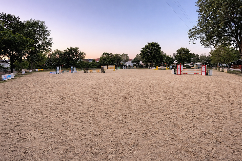 Sandplatz_RFV Mannheim Sandhofen.png