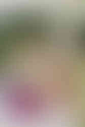 Sektempfang Hochzeit Hoher Darsberg