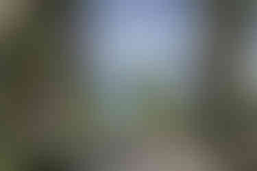 VILLA CORTINE PALACE