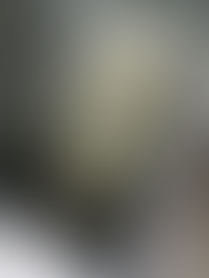 Designrausch