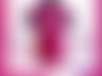 Rajasthan Royals 2024 Players Shirt revealed