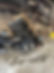 IMG_0141.jpeg
