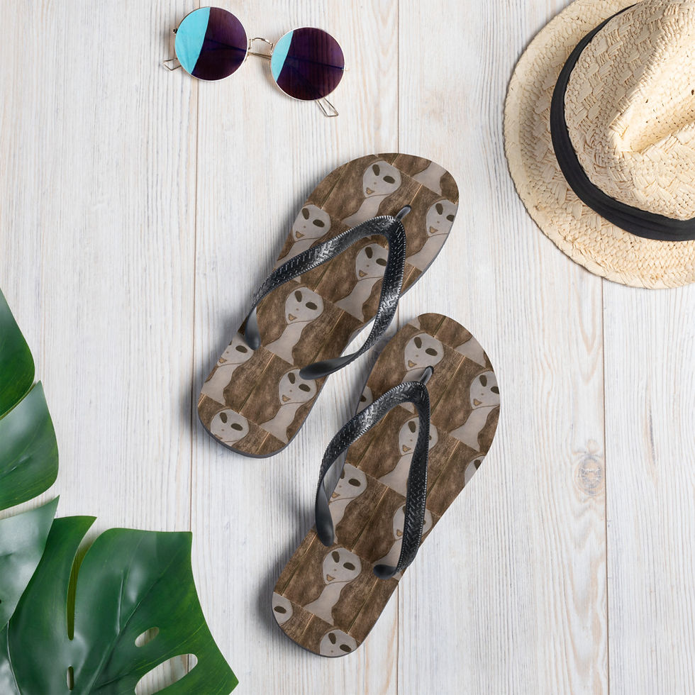 Thumbnail: Flip-Flops