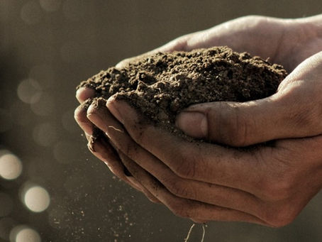 Nature’s role in averting a climate crisis