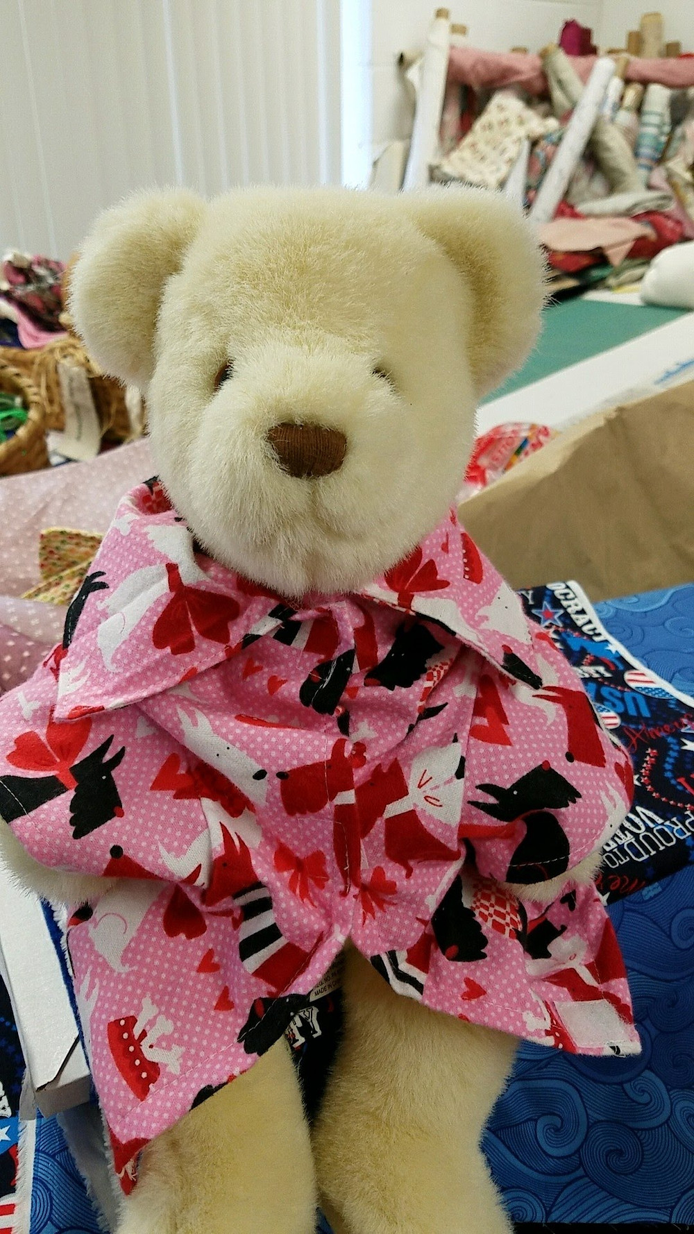 custom dog jacket