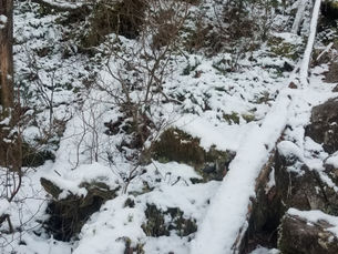 恵那山登山　追分ルート