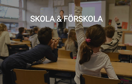 SKOLA_edited_edited.jpg