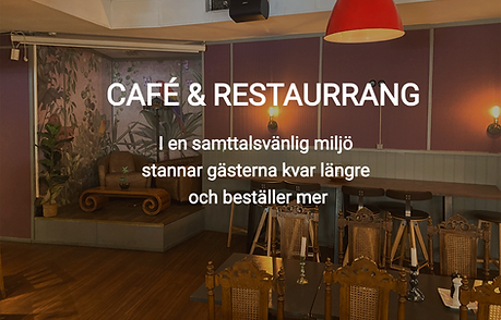 djungeldrom-akustikWEB_edited_edited_edi