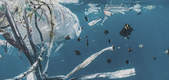 Plastförorening i havet