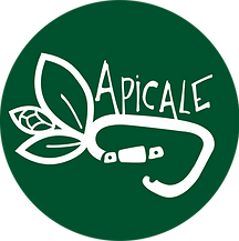 Apicale_fond_vert_HD.png