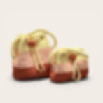 Blush & Bloom Set