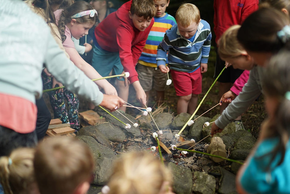 Forest School Summer Sessions