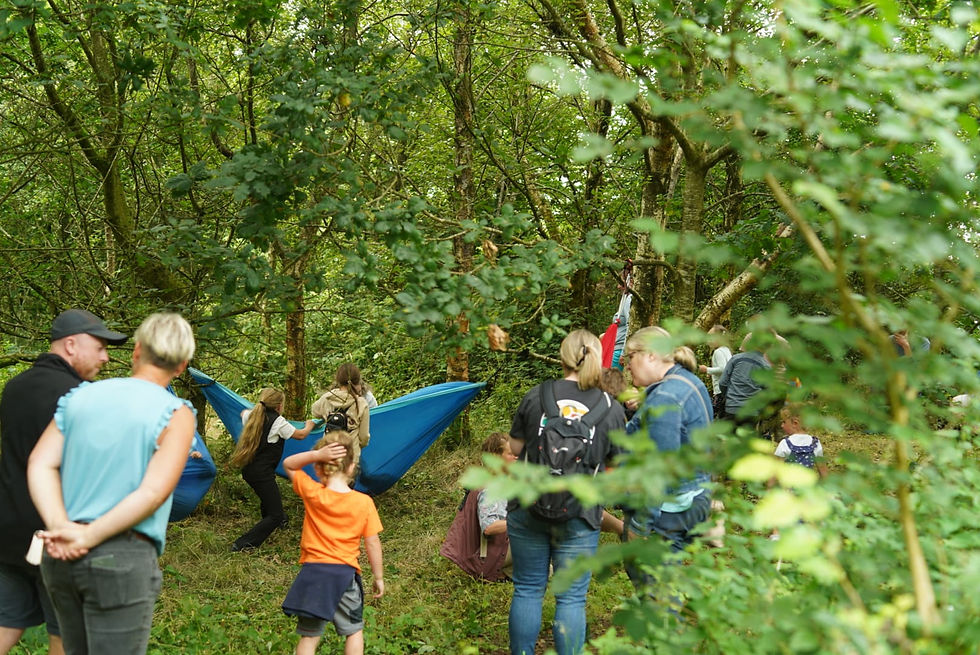 Forest School Summer Sessions
