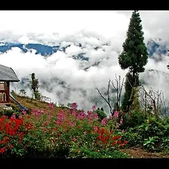 Samthar Plateau.webp