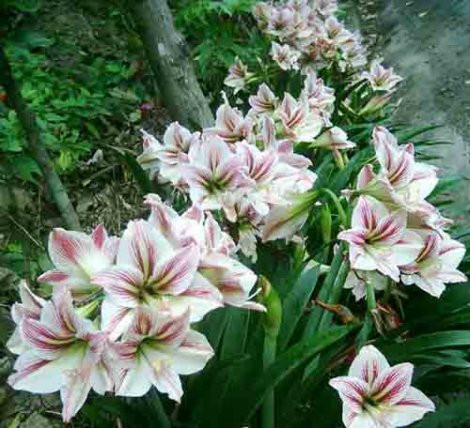kunstpflanzen blumenkasten Knstlicher Blumenkasten