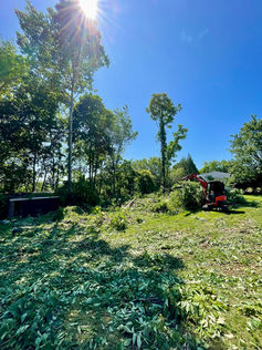 land clearing freedom