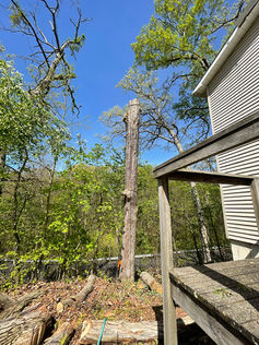 tree removal beaver falls