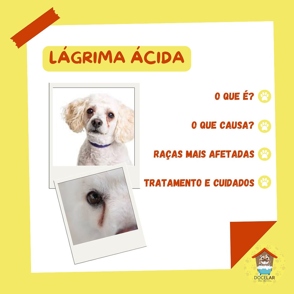 Lágrima Ácida: Saiba Mais!