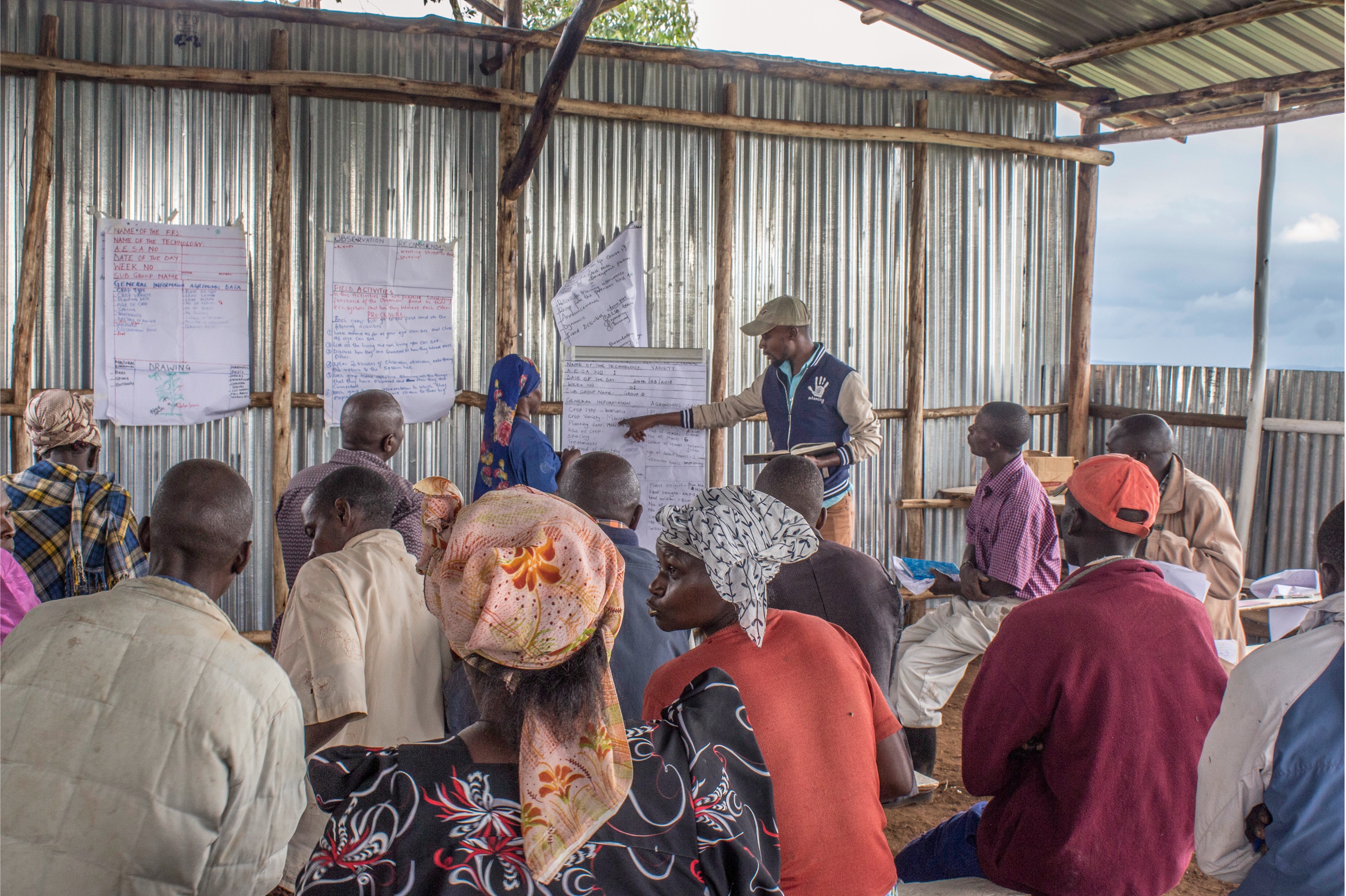 Farmer Field Schools