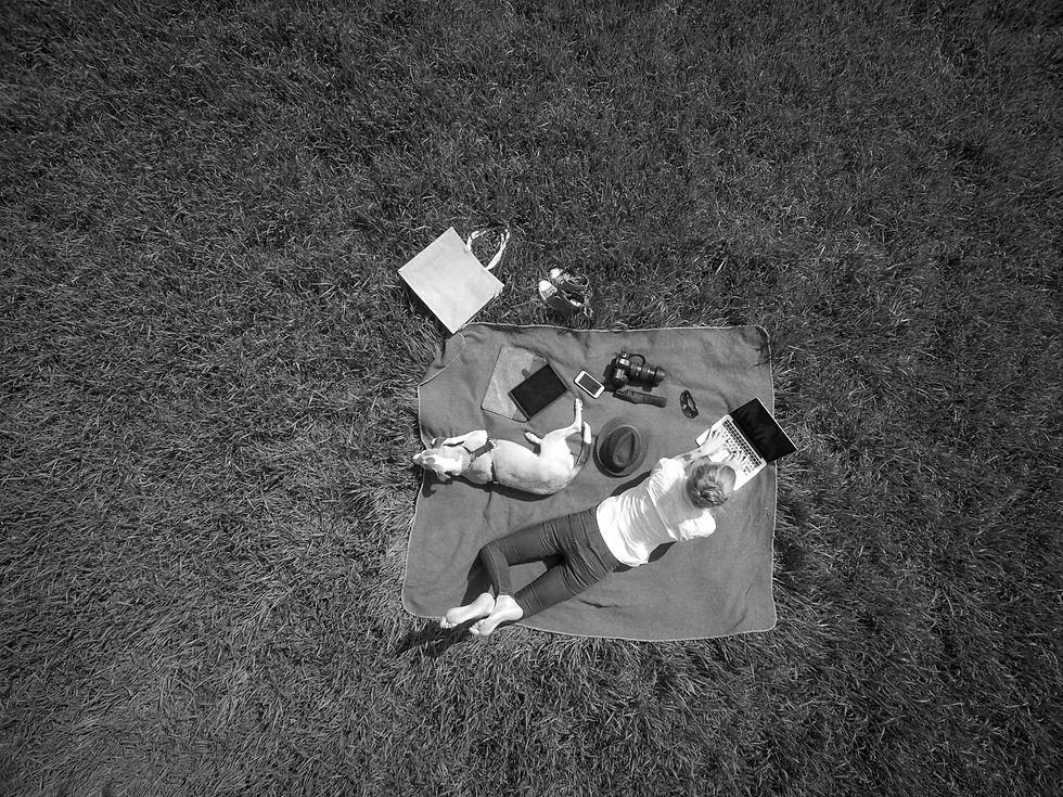 Working from the Park