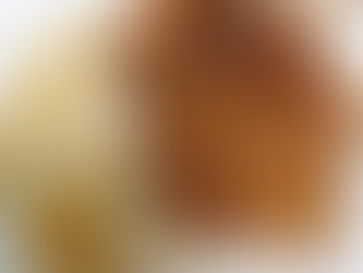 ร้านอ๊อดต้มเลือดหมู-ราดหน้า