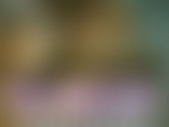 VENERE pudìca - S. Botticelli