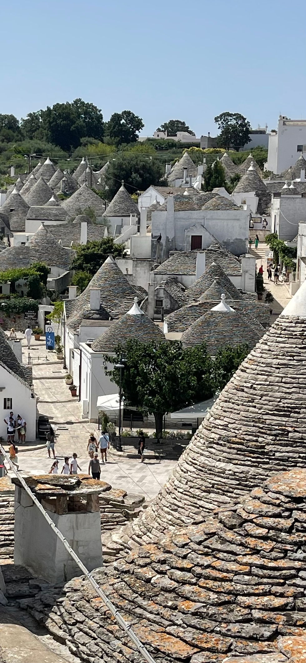 Biobased Trulli