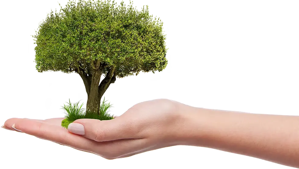 boom gratis Provincie Utrecht