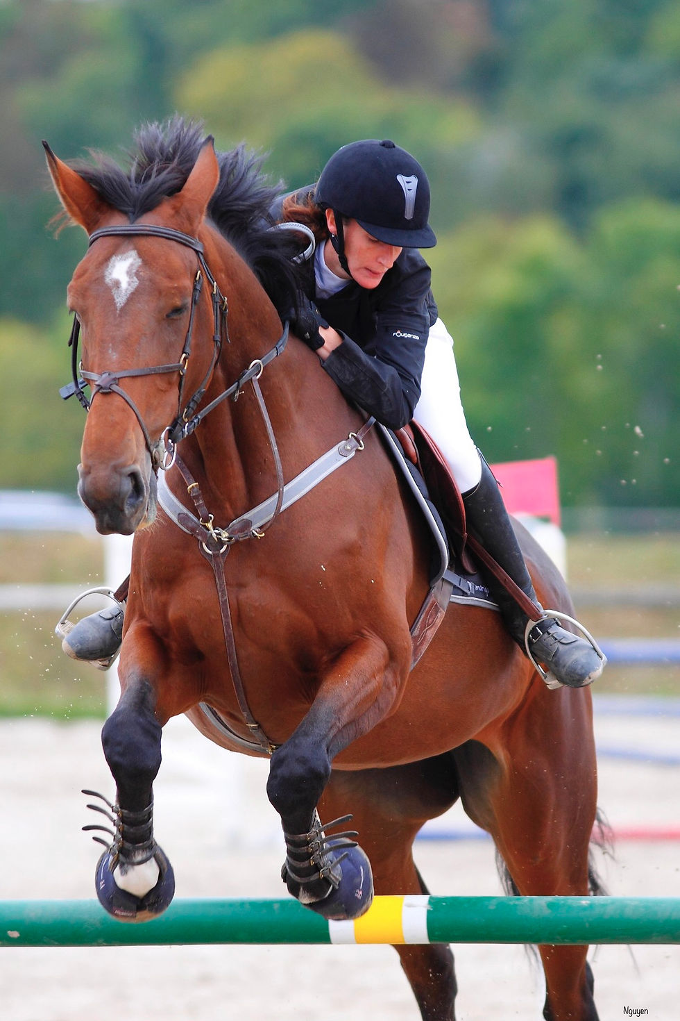 khanh.equitation
