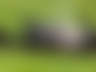 Living The Good Life? Or Living a Better Life?