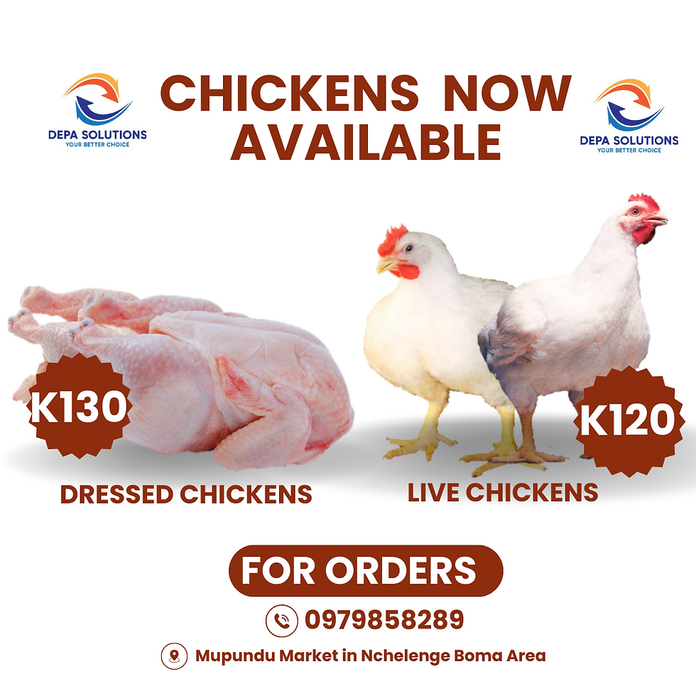 Thumbnail: Chickens (live, dressed and pieces)