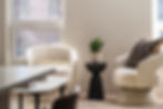 Modern sunlit living room interior of two chairs and a plant