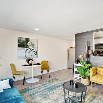 Highland Park living room and kitchen.jpg