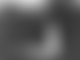 Fed by Many Hands: Farming in Rainier Valley