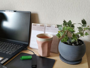 ブログ始めます!