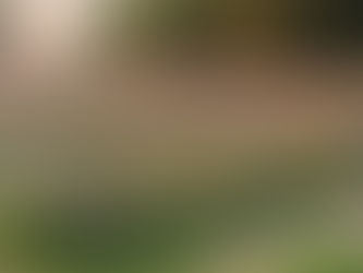 My Lavender Lady Joins The Bazaar Family