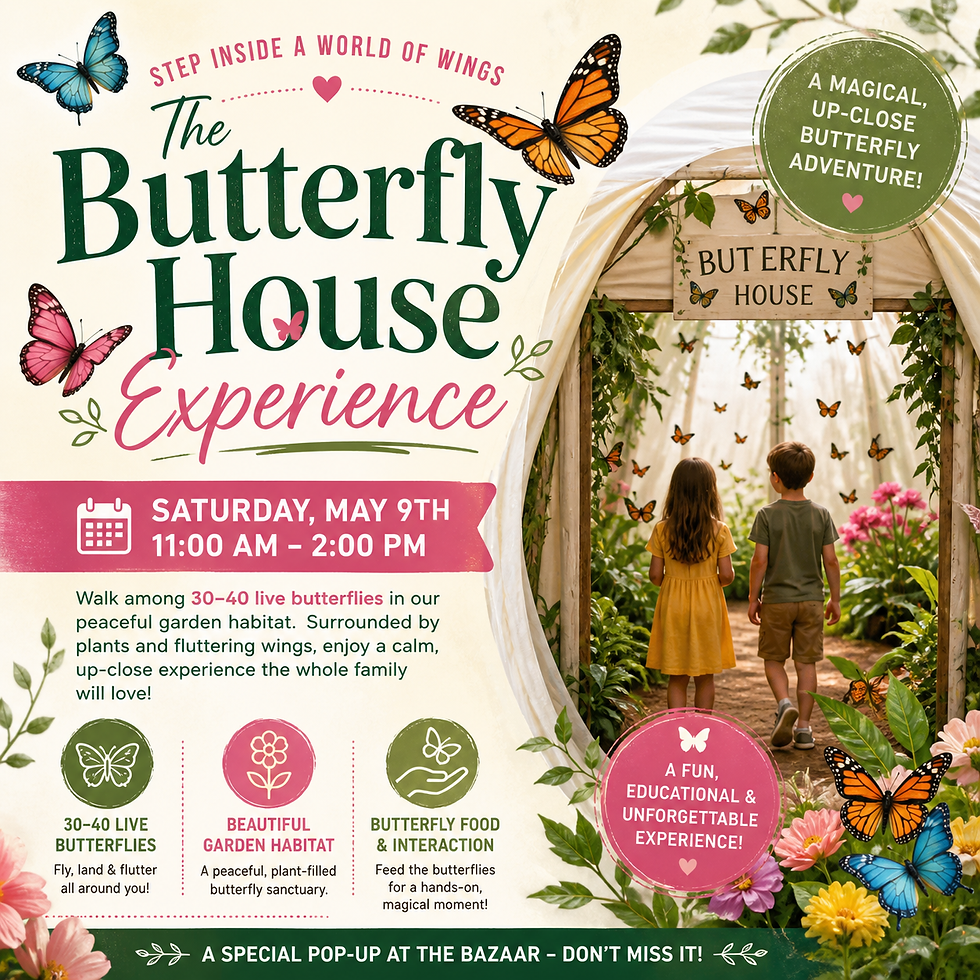 The Butterfly House Experience