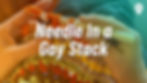 Needle In a Gay Stack