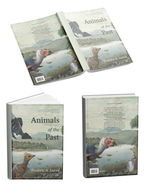 Animals of the Past Book Re-Design 