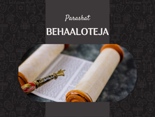 Behaalotejá