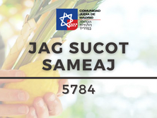 Sucot