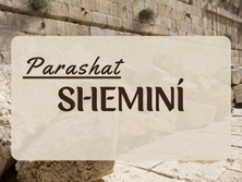 Sheminí