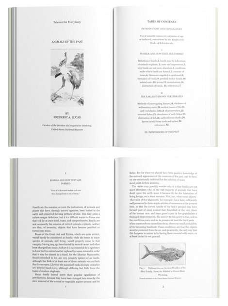 Page Layout 