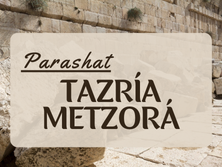 TAZRÍA-METZORÁ