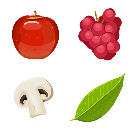 Iowa Food Insecurity Poster Illustrations