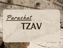 Tzav