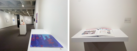 Drake University Anderson Gallery