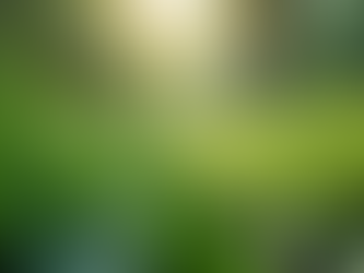 The Importance of Sustainable Living in Today's World