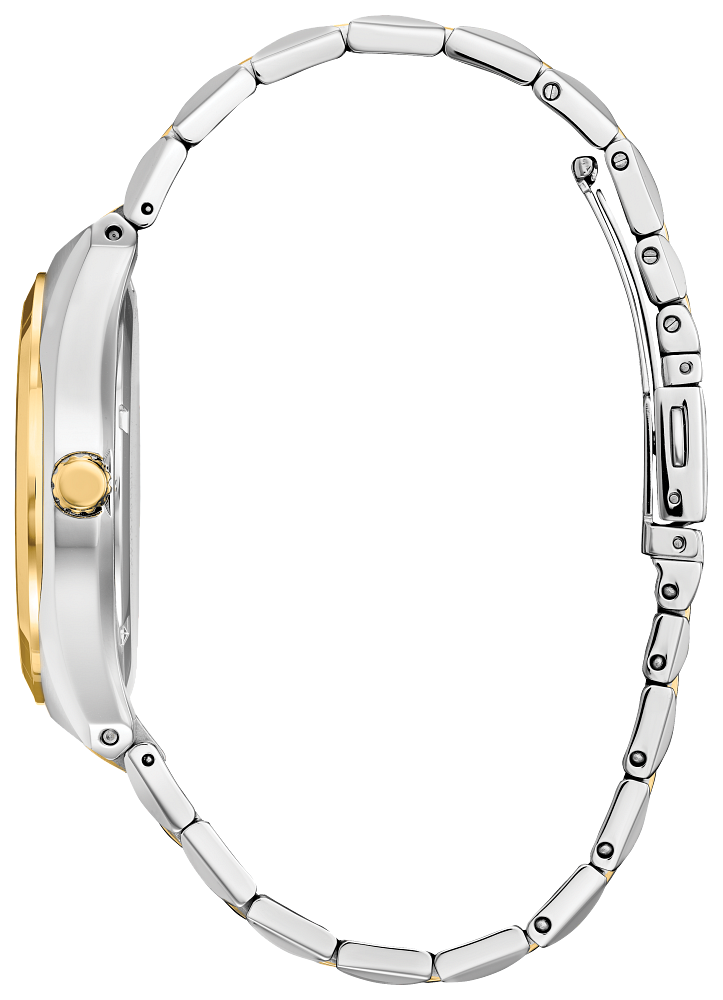 Thumbnail: Corso : Citizen Eco-Drive Men's Two-Tone Light Powered Watch