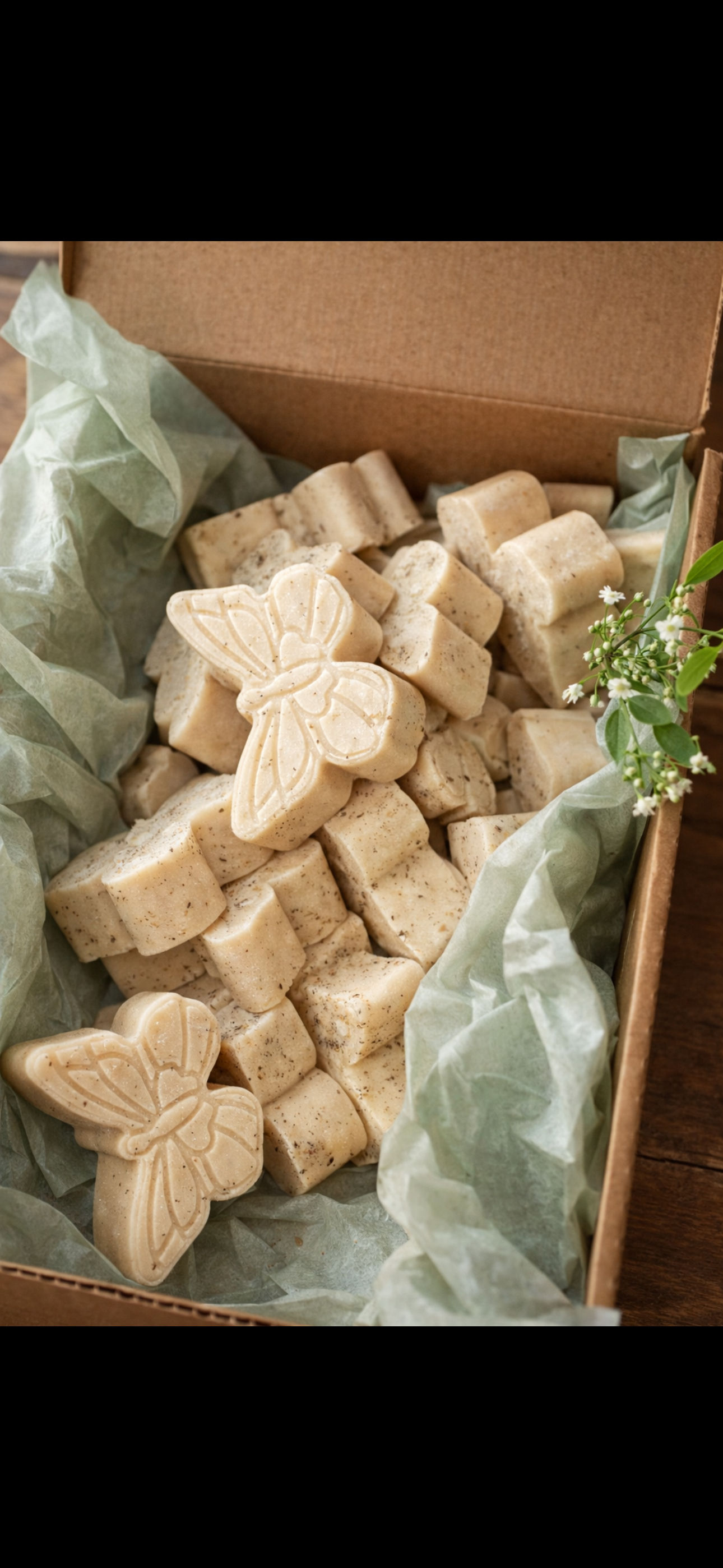 Texas Mini Bars 